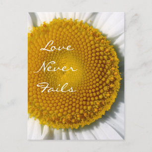 Love Never Fails Daisy 1 Corinthians 13 Postcard