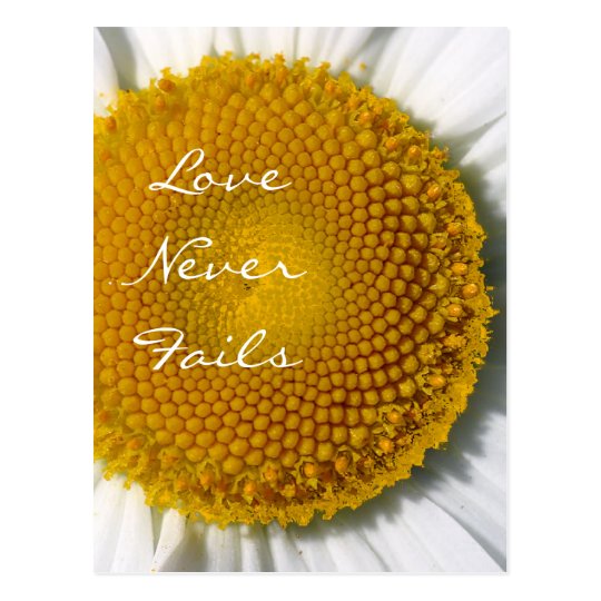Love Never Fails Daisy 1 Corinthians 13 Postcard