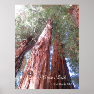 Love Never Fails Poster