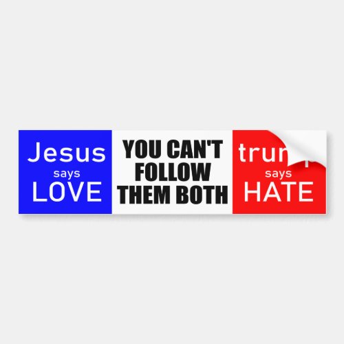 Love not Hate 2020 Bumper Sticker