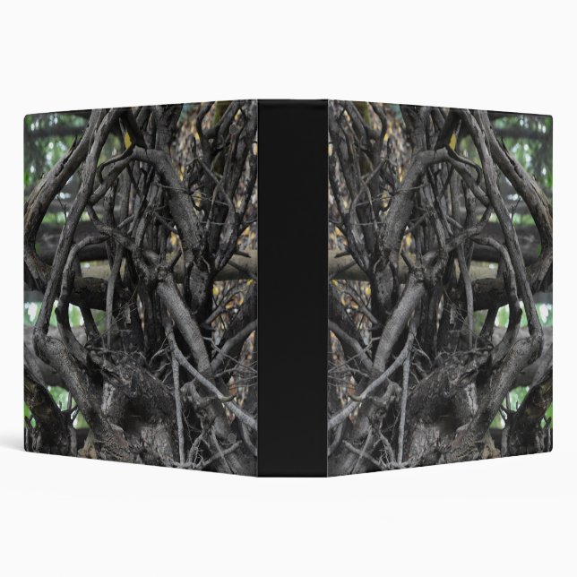 Love of a Fallen Tree 3 Ring Binder (Background)