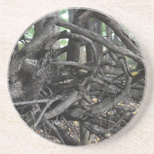 Love of a Fallen Tree Coaster (Front)