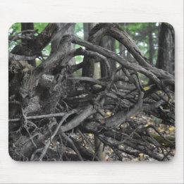 Love of a Fallen Tree Mouse Pad