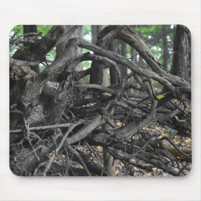 Love of a Fallen Tree Mouse Pad (Front)
