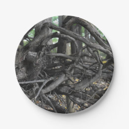 Love of a Fallen Tree Paper Plates