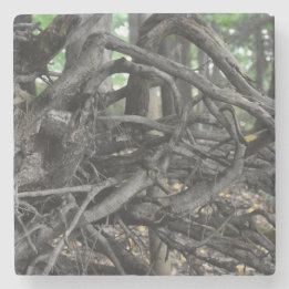 Love of a Fallen Tree Stone Coaster