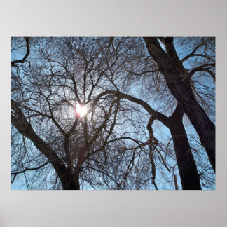 Love of Nature Poster