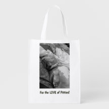 Love of Pitties
