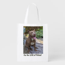 Love of Pitties