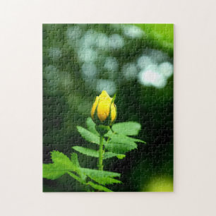 Love of Yellow Roses 252 Piece Puzzle 11x14
