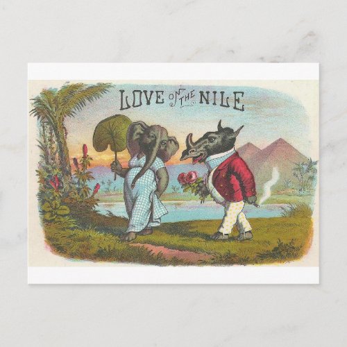 Love On The Nile Vintage Cigar Label Art Postcard