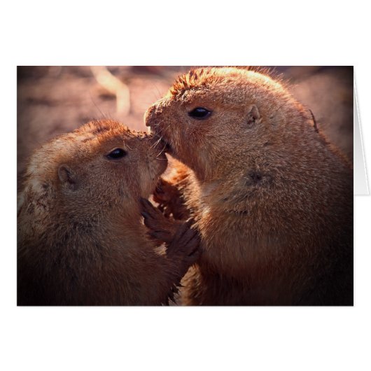 Love on the prairie (Front Horizontal)