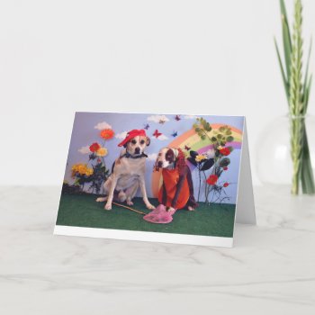 Love Or Anniversary Card  Dog Photo  Humorous Card by PlaxtonDesigns at Zazzle