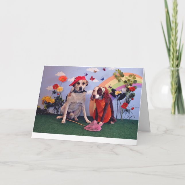 Love or anniversary card, dog photo, humorous card (Front)
