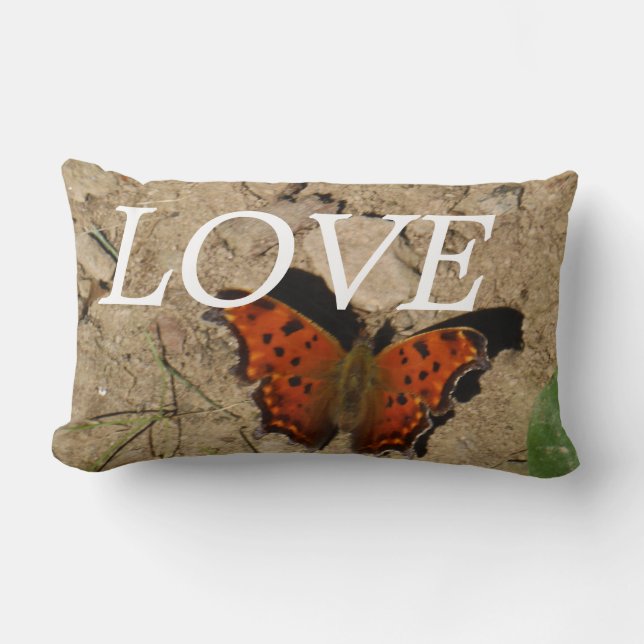 lOVE ,orange and green butterfly pillow (Front)