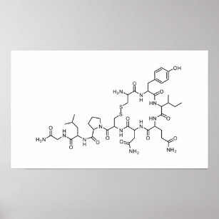 love oxytocin chemical formula chemistry element s poster