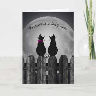 love-pair of cats in the moonlight card