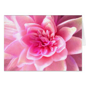 Love & Passion_ (Front Horizontal)