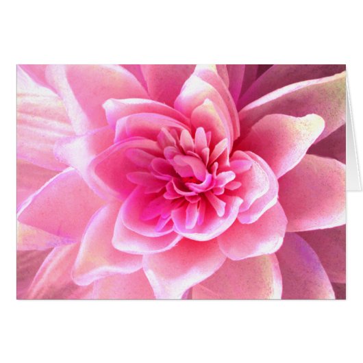 Love & Passion_ (Front Horizontal)