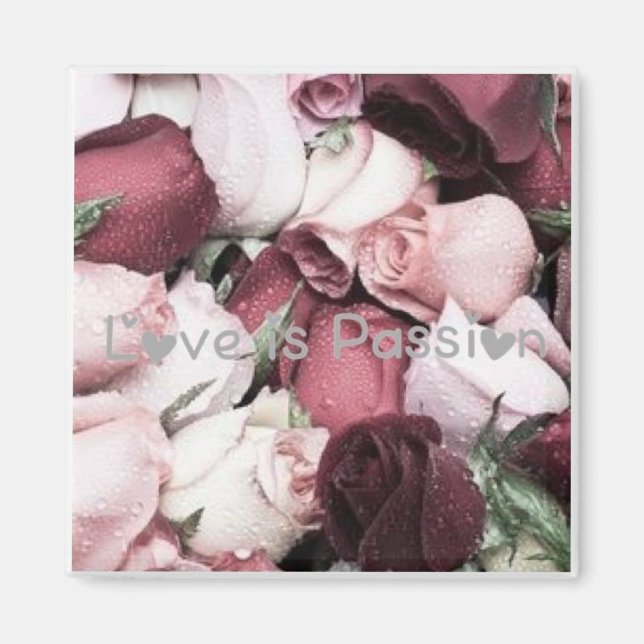 Love Passion Collection Magnet by Ahsek Novel (Front)
