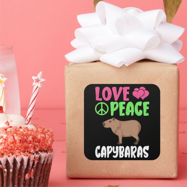 Love Peace Capybaras Cute Animals Capybara Lover Square Sticker (Party)