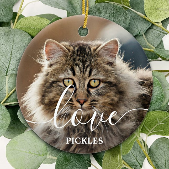 Love Personalized 2 Photo Cat Pet Memorial Ceramic Ornament (Creator Uploaded)
