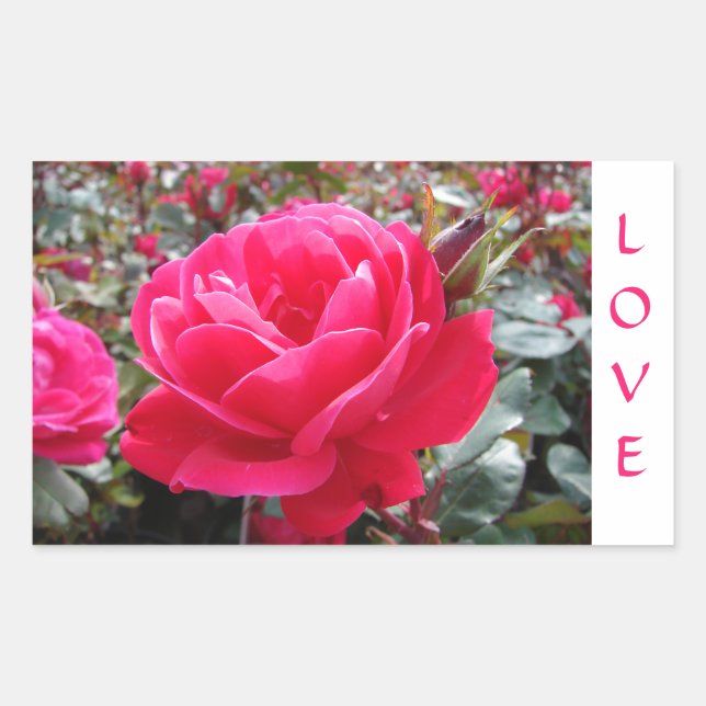 Love Pink Romance  Rose  Stickers (Front)