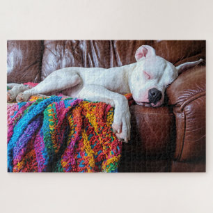 Love Pitbull Dog Sleeping on the Couch Jigsaw Puzzle