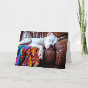 Love Pitbull Dog Sleeping on the Couch Letterpress Thank You Card