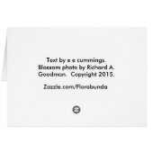 Love poem by e e commings with pink rose (Back Horizontal)