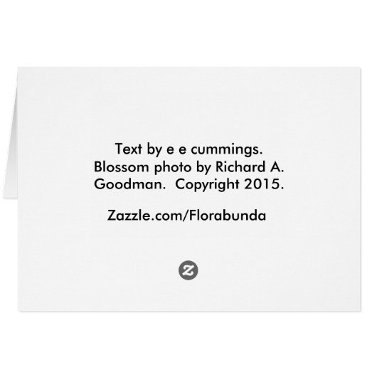 Love poem by e e commings with pink rose (Back Horizontal)