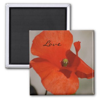 Love Poppy Magnet by pulsDesign at Zazzle