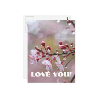 Love Postcard