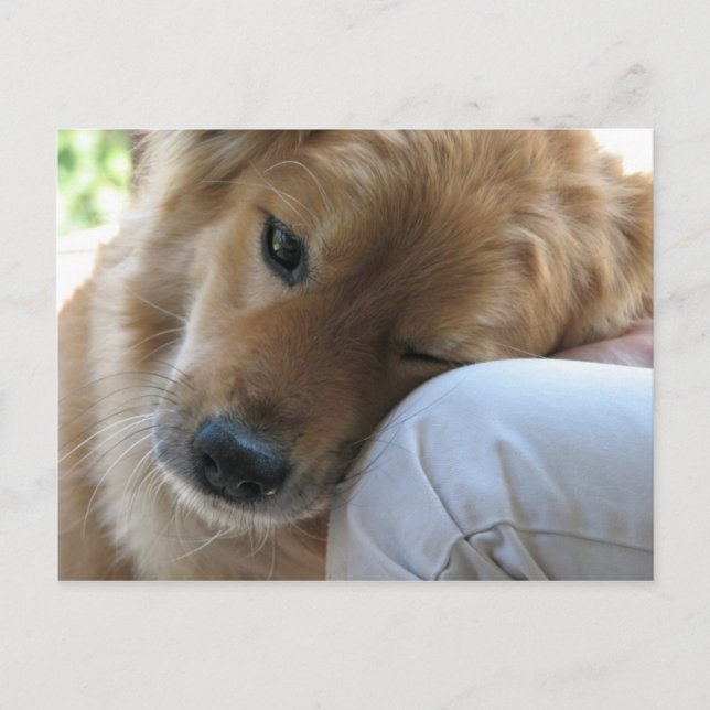 Love Postcard (Front)