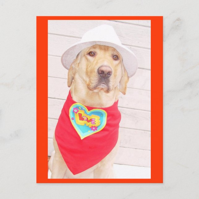 Love Postcard (Front)