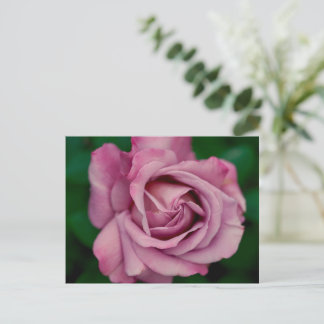 Love Postcard
