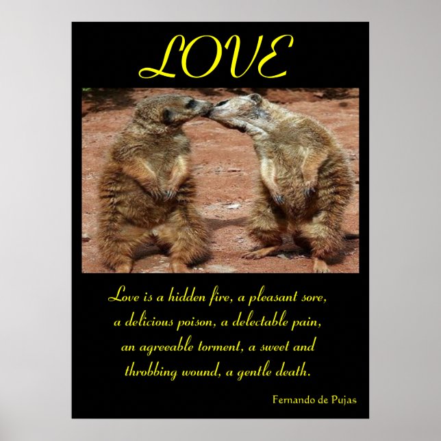 LOVE Posters Animal 1 (Front)