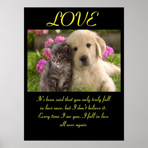 LOVE Posters Animal 1
