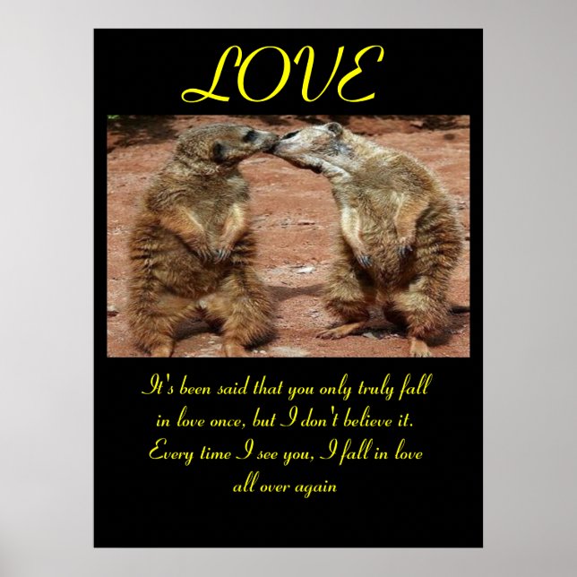 LOVE Posters Animal 2 (Front)