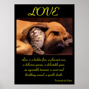 LOVE Posters Animal 2