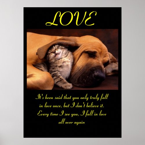 LOVE Posters Animal 3