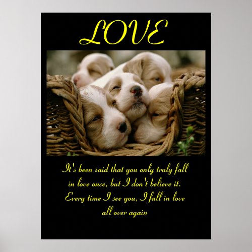 LOVE Posters Animal 5