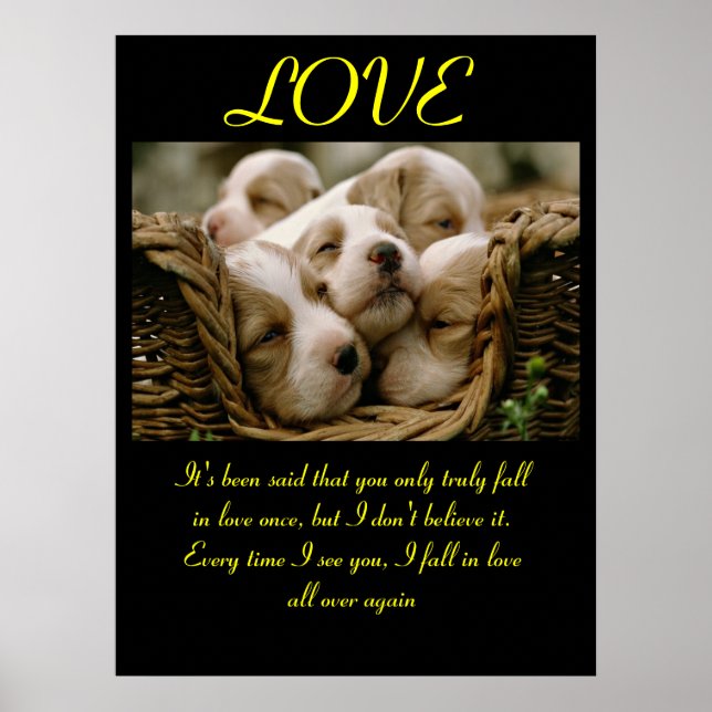 LOVE Posters Animal 5 (Front)