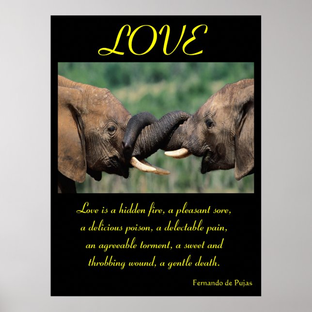 LOVE Posters Animal 5 (Front)