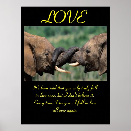 LOVE Posters Animal 6