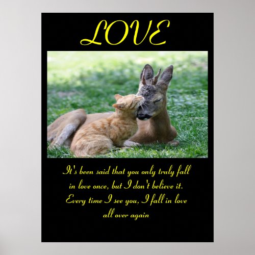 LOVE Posters Animal 7