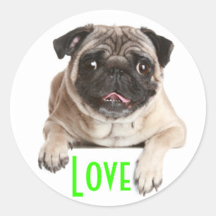 Love Pug Puppy Dog Greeting Stickers