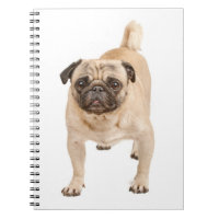 Love Pug Puppy Dog Notebook / Journal