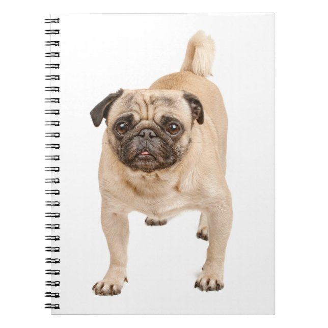 Love Pug Puppy Dog Notebook / Journal (Front)