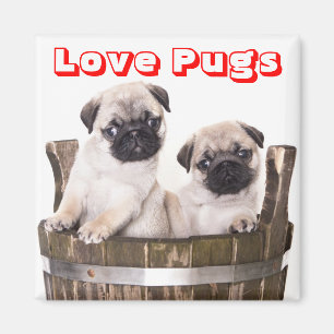 Love Pugs Puppy Dogs in Wooden Barrel Crate Magnet